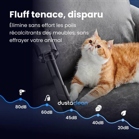 DustaClean image